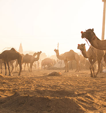 West India