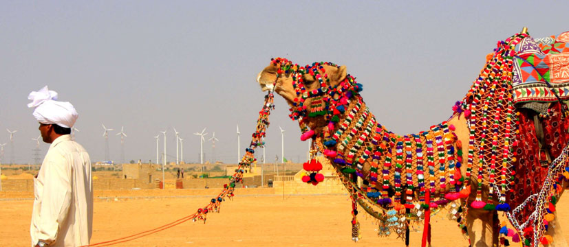 Foire de Pushkar - Spectacle culturel enchanteur